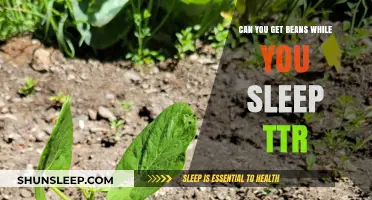 Dreaming of Beans: Overnight Farming Tips in TTR