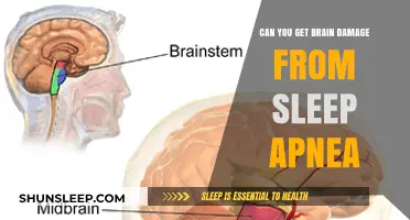 Sleep Apnea and Brain Health: Uncovering the Risks of Damage
