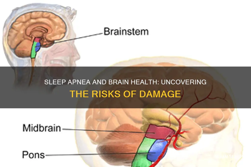 can you get brain damage from sleep apnea