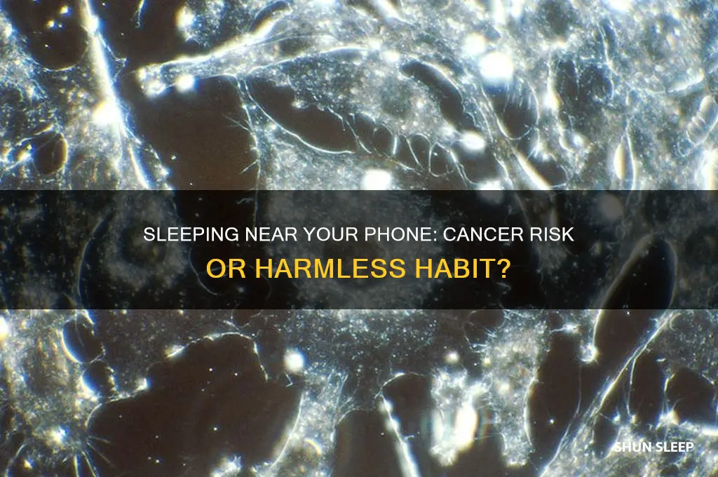 can you get cancer by sleeping next to your phone