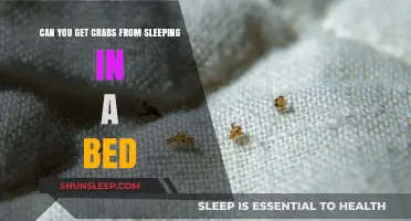Can You Get Crabs from Sleeping in a Bed?