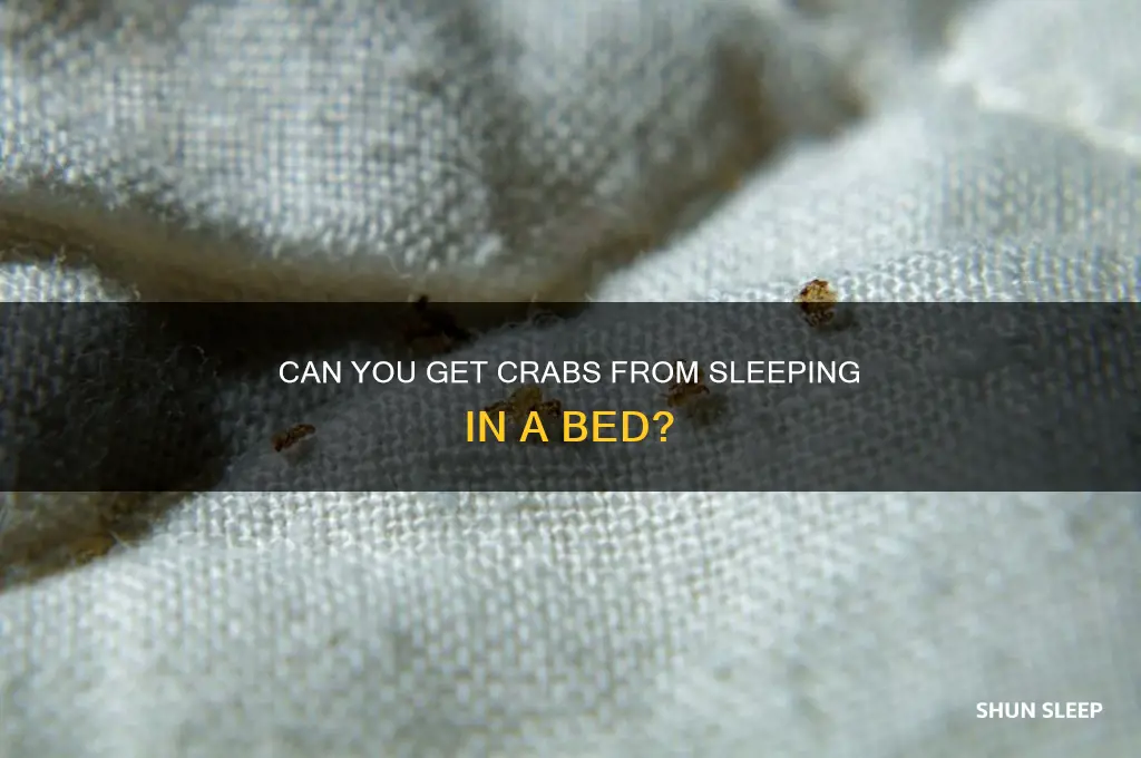 can you get crabs from sleeping in a bed