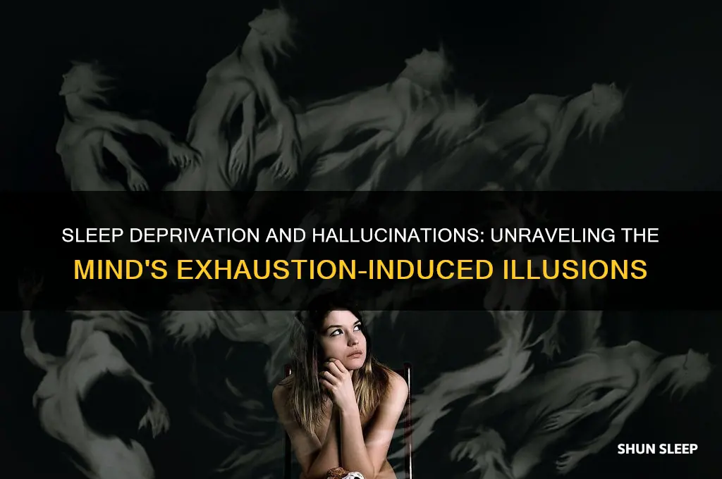 can you get hallucinations from lack of sleep