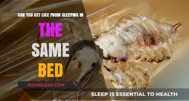Sharing a Bed: Can Lice Spread During Sleep?