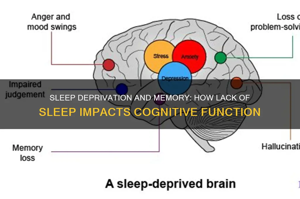 can you get memory problems from lack of sleep