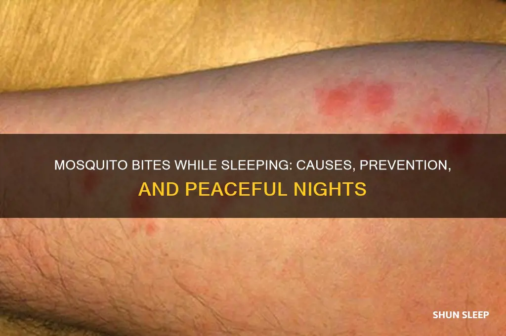 can you get mosquito bites while sleeping