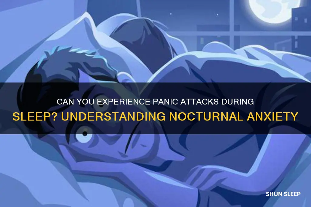 can you get panic attack while sleeping