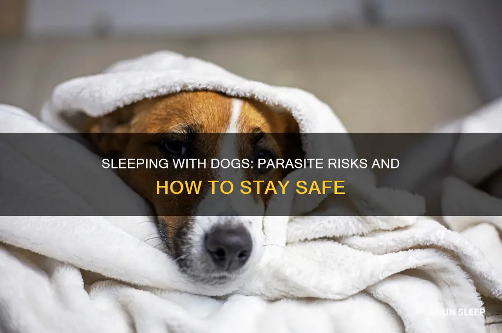 can you get parasites from sleeping with dogs