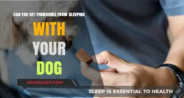 Sleeping with Your Dog: Pinworm Risks and Prevention Tips