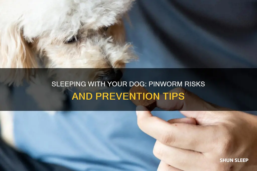 can you get pinworms from sleeping with your dog