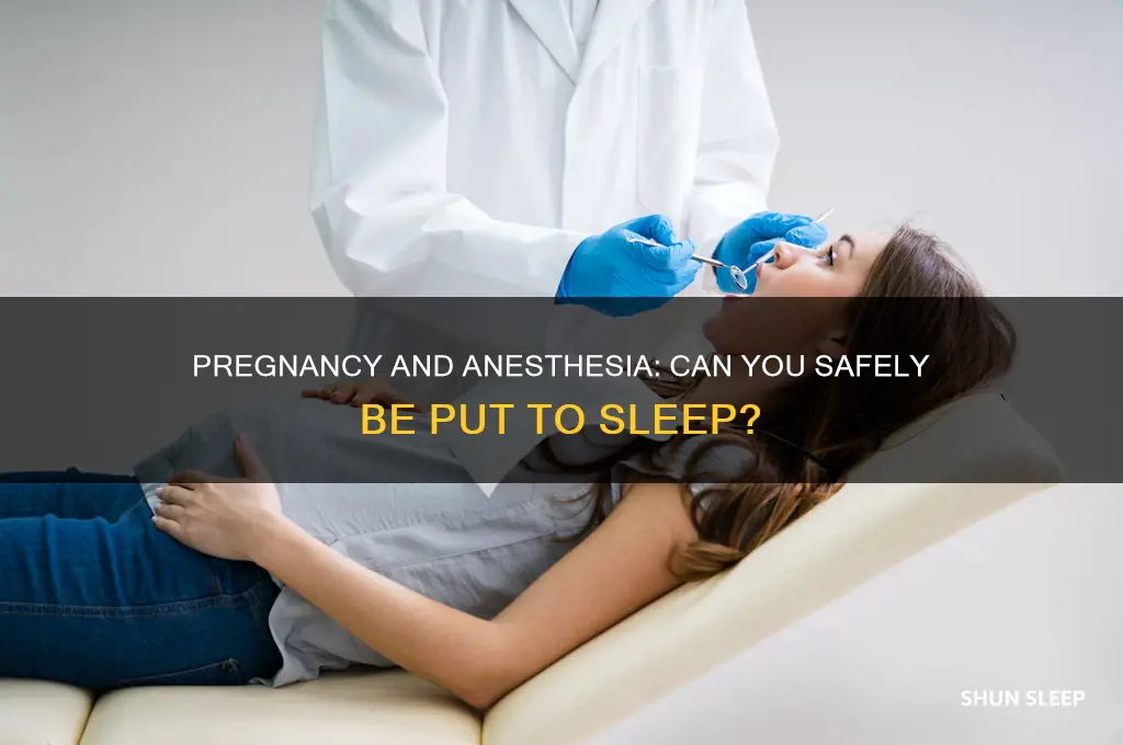 can you get put to sleep while pregnant