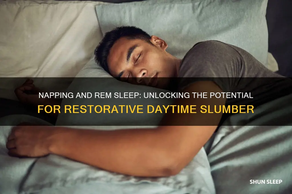 can you get rem sleep during a nap