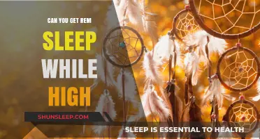 High and Dreaming: Exploring REM Sleep While Under the Influence