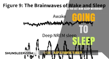 REM Sleep Without Full Sleep: Myth or Possible Reality?