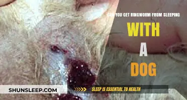 Can Sleeping with Your Dog Cause Ringworm? Facts and Prevention Tips
