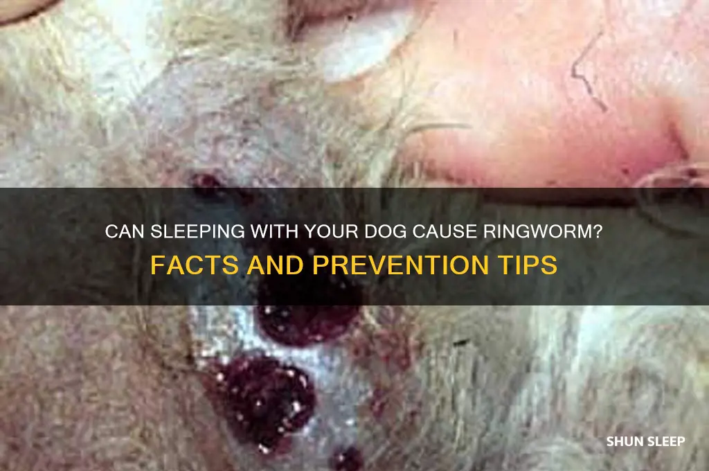 can you get ringworm from sleeping with a dog