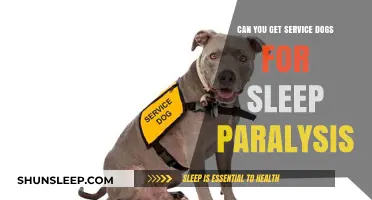 Service Dogs for Sleep Paralysis: Can They Provide Relief?