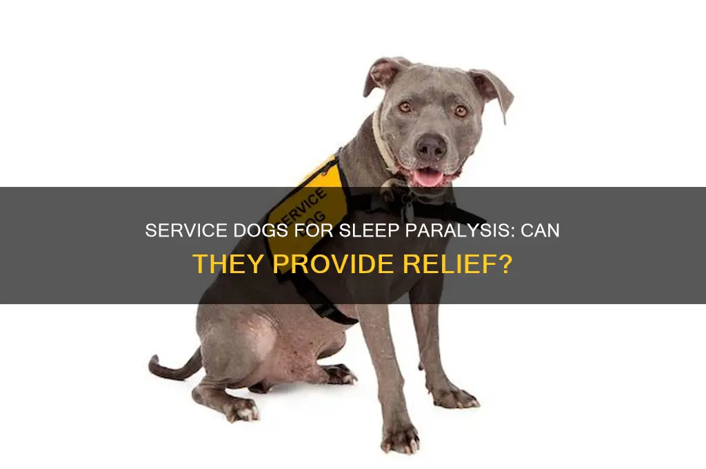 can you get service dogs for sleep paralysis