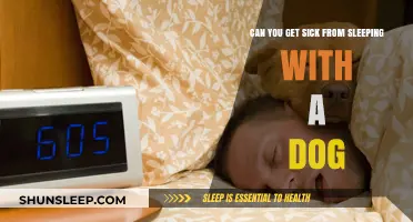 Sleeping with Your Dog: Health Risks or Harmless Cuddles?