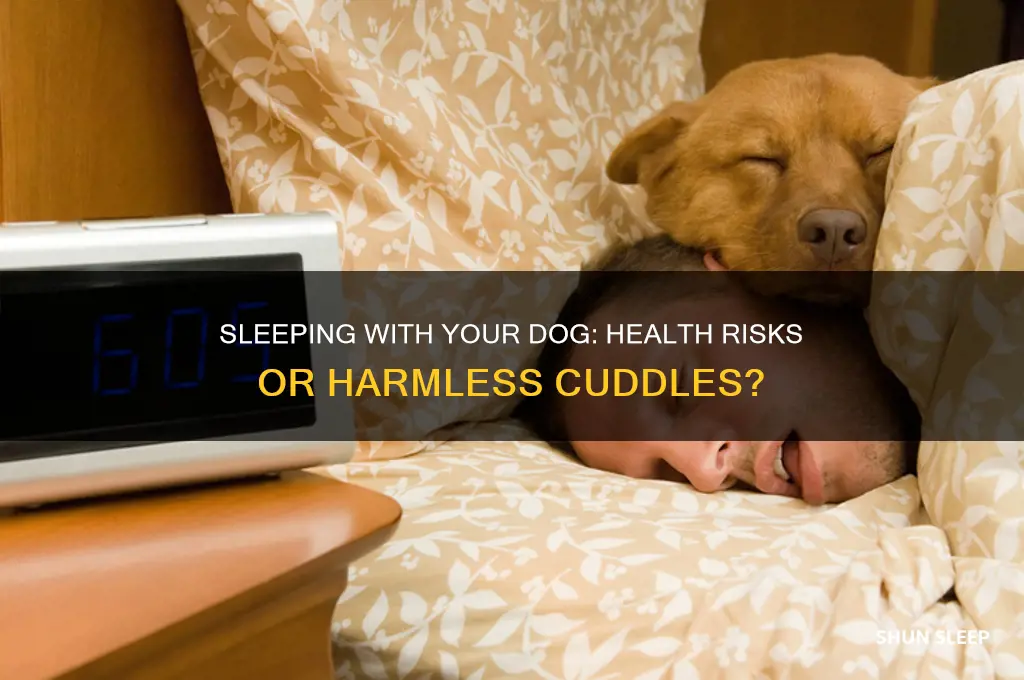 can you get sick from sleeping with a dog