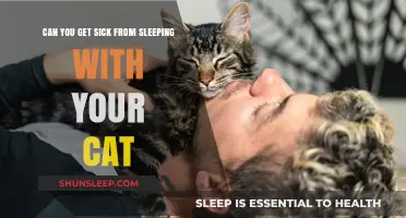 Sleeping with Your Cat: Health Risks or Purrfectly Safe?