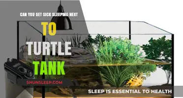 Sleeping Near a Turtle Tank: Health Risks and Safety Tips