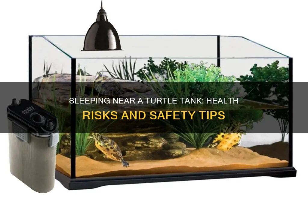 can you get sick sleeping next to turtle tank