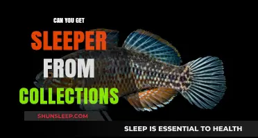 Can You Catch Sleeper from Collections? Unraveling the Myth and Facts