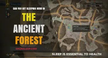Exploring the Ancient Forest: Discovering Natural Sleeping Herbs