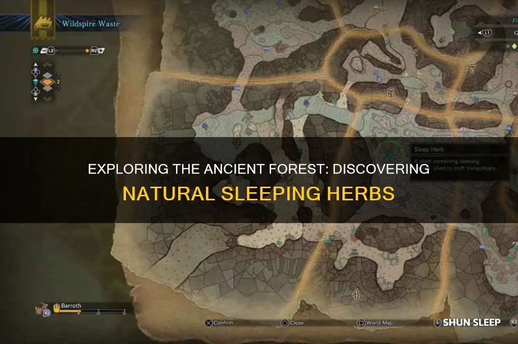 can you get sleeping herb in the ancient forest