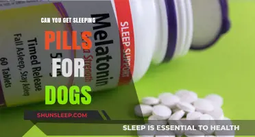 Can Dogs Take Sleeping Pills? Safety and Alternatives Explained