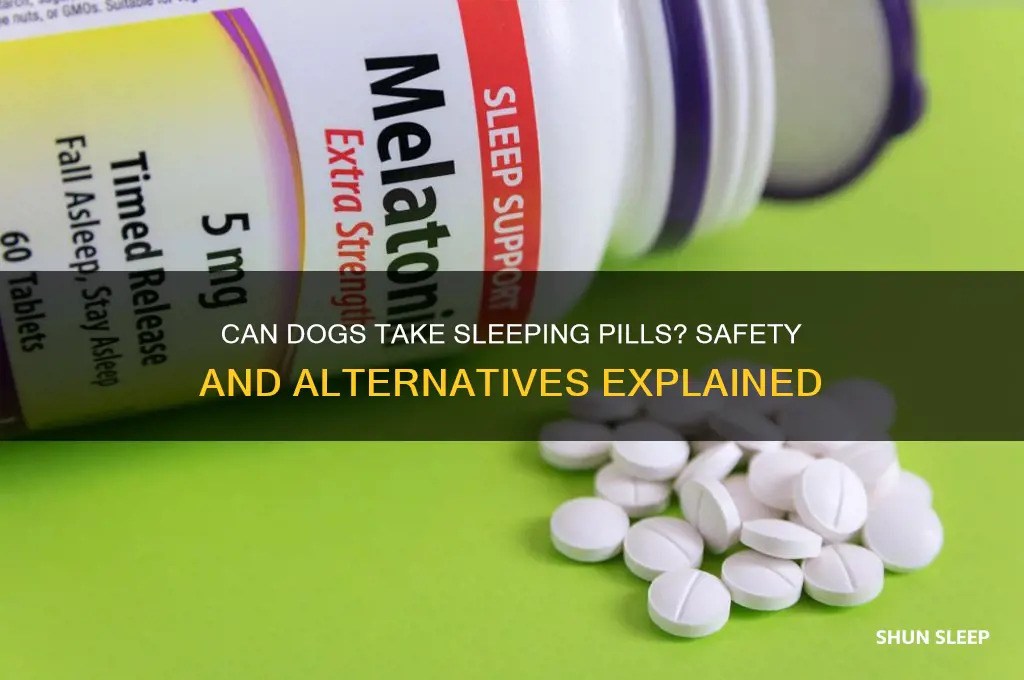 can you get sleeping pills for dogs