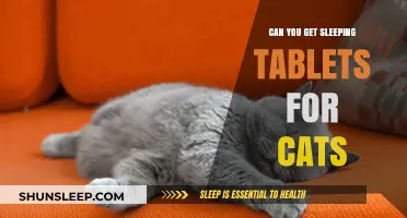 Can Cats Take Sleeping Tablets? Safety and Alternatives Explained