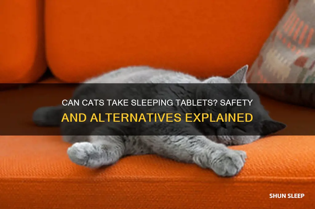 can you get sleeping tablets for cats