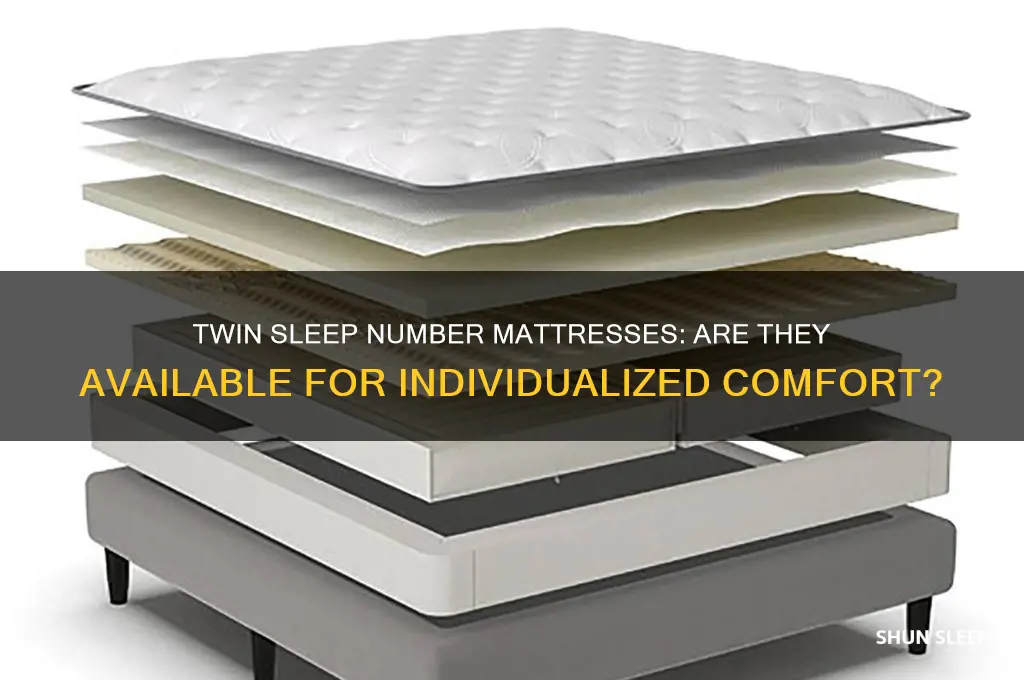can you get twin sleep number mattresses