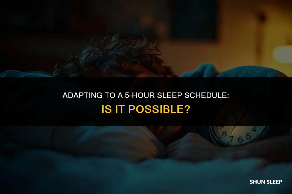 can you get used to 5 hours of sleep