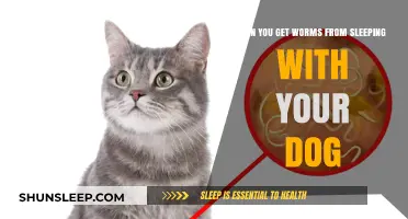 Sleeping with Your Dog: Risks of Getting Worms and Prevention Tips