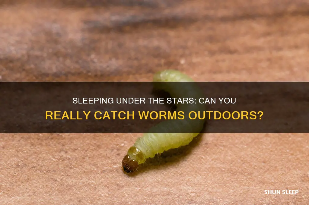can you get worms sleeping outside
