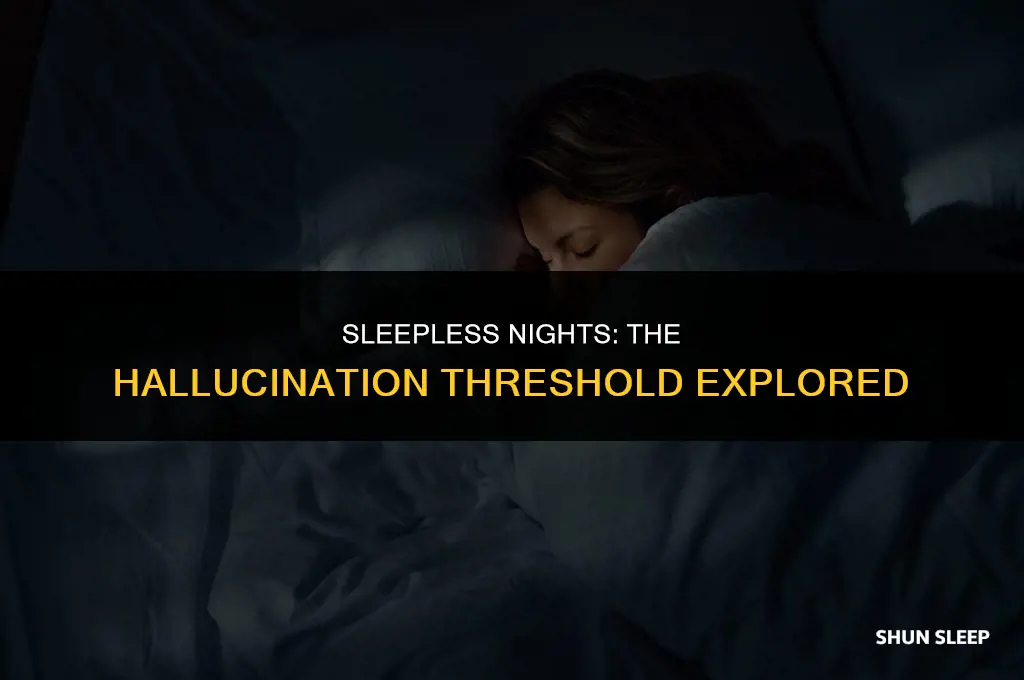 can you hallucinate after 24 hours of no sleep