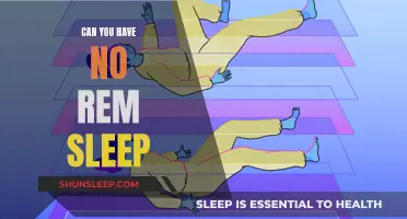 The Mystery of REM Sleep: Can You Survive Without It?