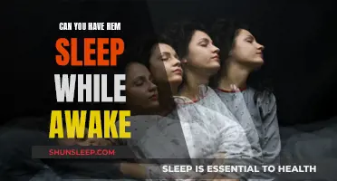 REM Sleep: Awake or Asleep?