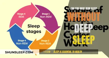 Deep Sleep and REM: Are They Linked?