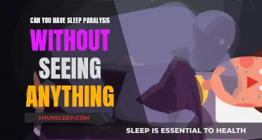 Sleep Paralysis: Visions or Hallucinations?