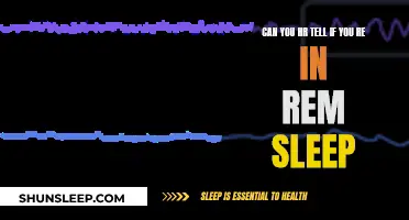 HR Monitors: Can They Detect REM Sleep?