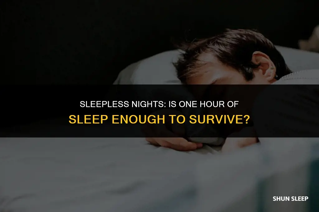 can you live off 1 hour of sleep