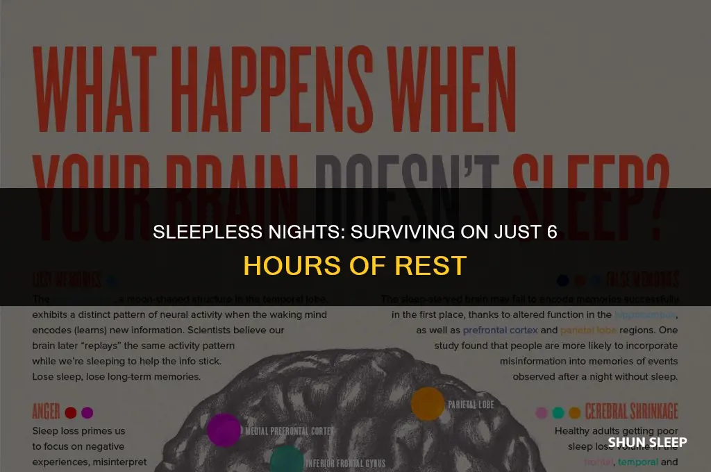 can you live off 6 hours of sleep
