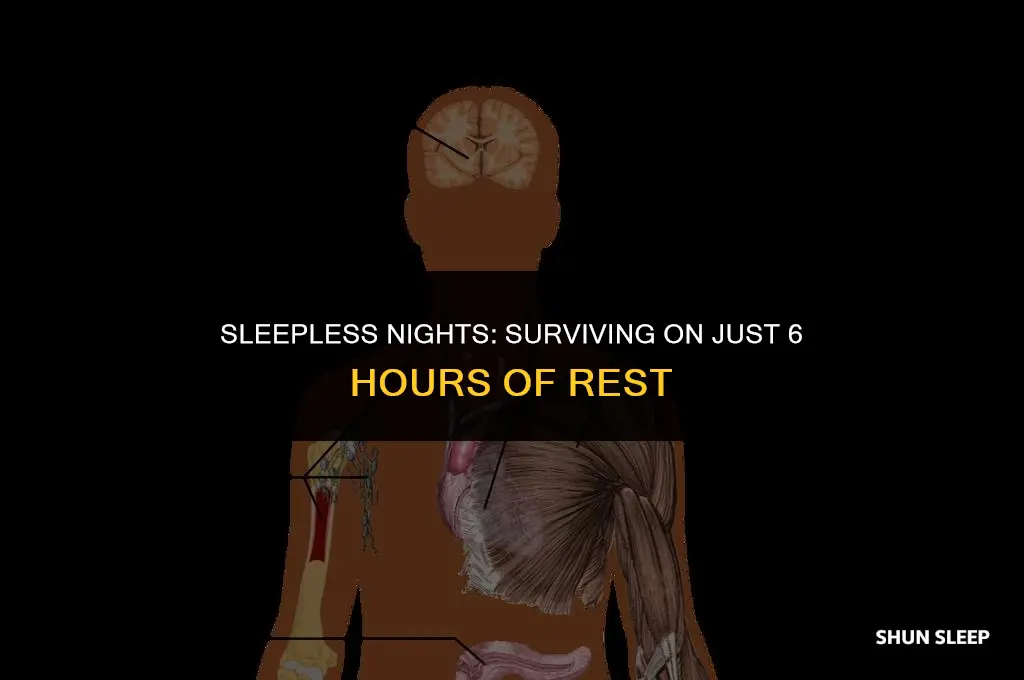 can you live on 6 hours of sleep