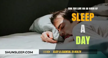 Sleepless Nights: Is One Hour of Sleep Enough?