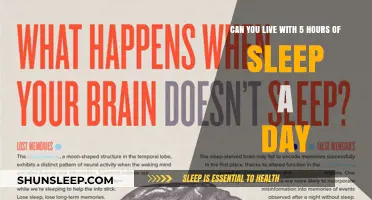 Thriving on Minimal Rest: Is 5 Hours of Sleep Enough?