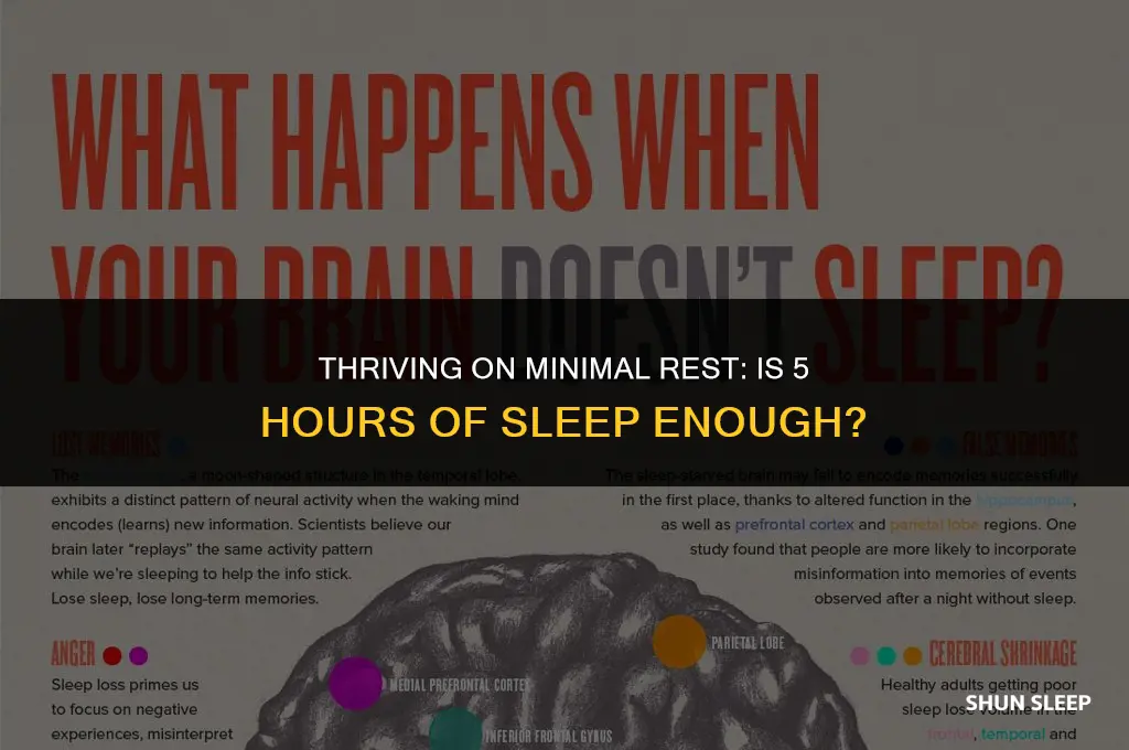 can you live with 5 hours of sleep a day